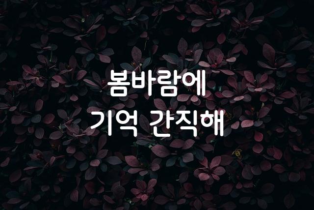 한컴 말랑말랑
