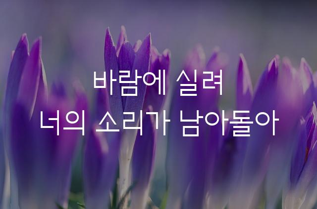 한컴 산스
