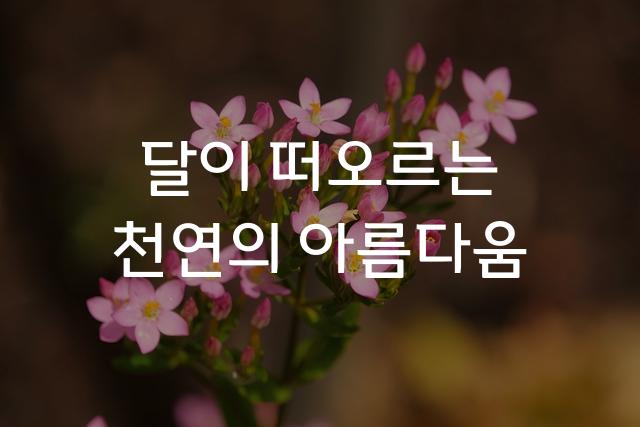 한컴 울주 천전리 각석체