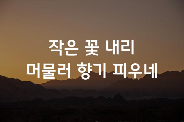 한글누리체