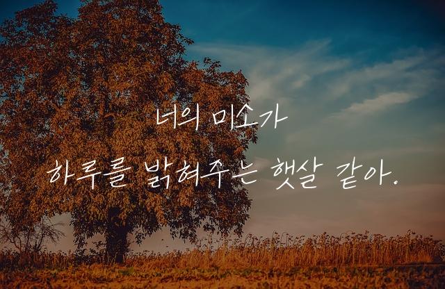 한윤체