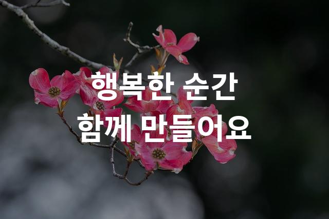 해피니스 산스 Title