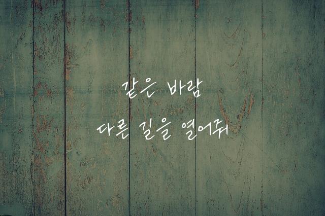 열일체