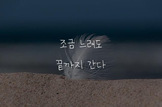노력하는 동희