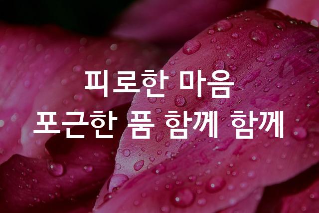함초롬체