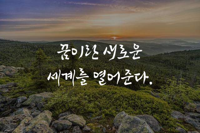 헬스셋 조릿대체