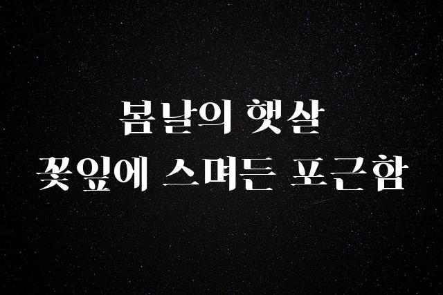HS봄바람체 2.0