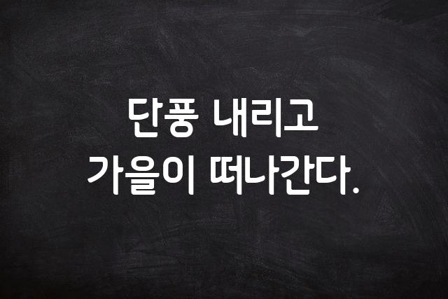 HS가을생각체2.0