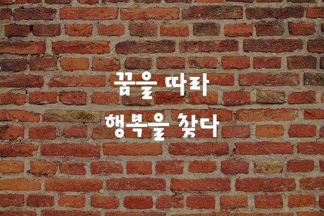 HS굴토끼체