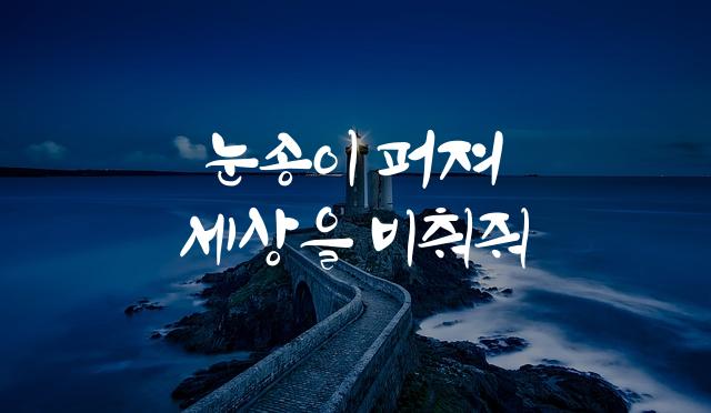 HS겨울눈꽃체