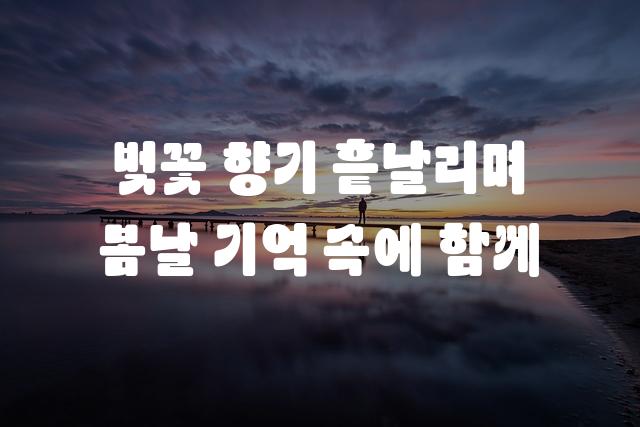 HS집토끼체 라운드