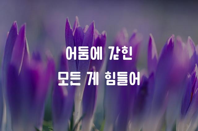 HS새마을체