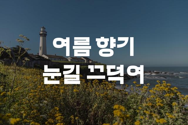 HS여름물빛체2.0