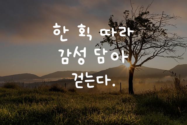 HS유지체