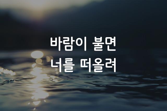 휴먼범석체 네오