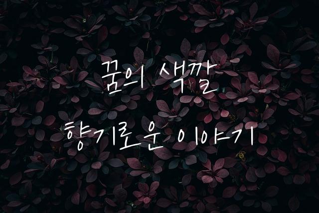 인천교육자람체