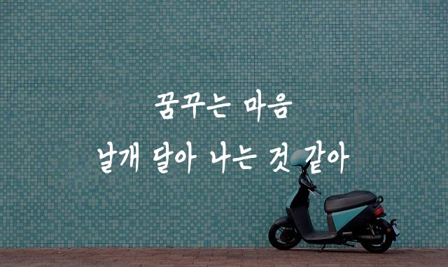 인천교육시민체
