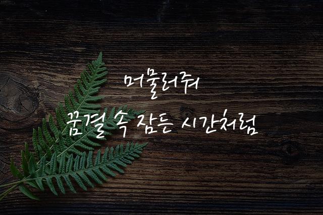 잉크립퀴드체