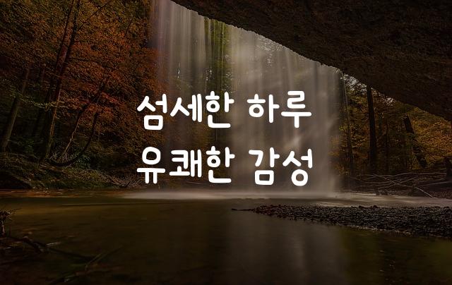 귀염발랄체
