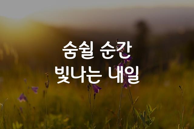 잘풀리는오늘체