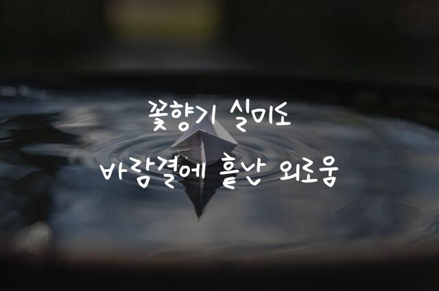 아줌마 자유