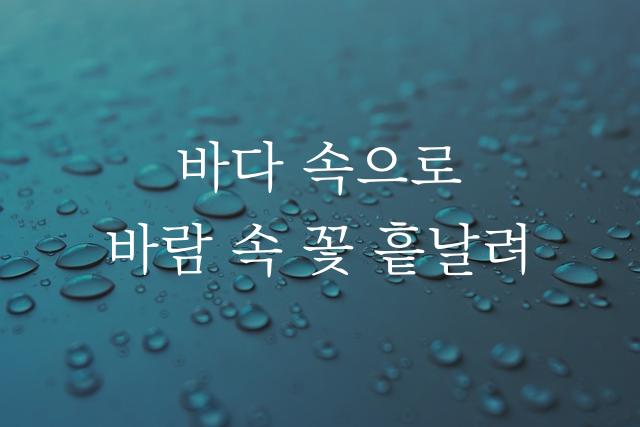 제주명조