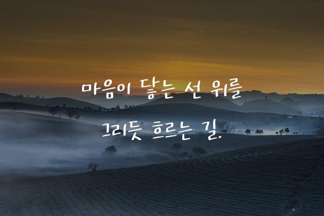 전화선체