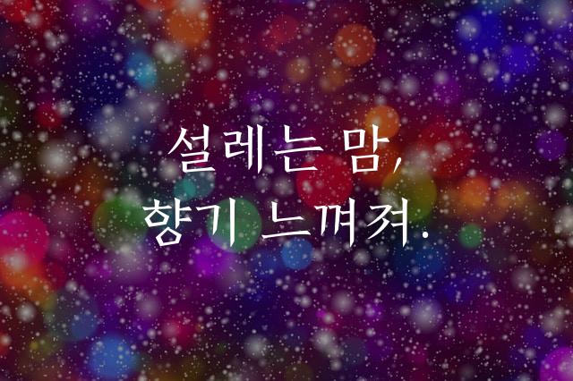 전주완판본 각체