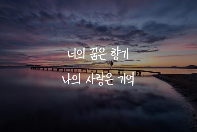 전남교육유나체