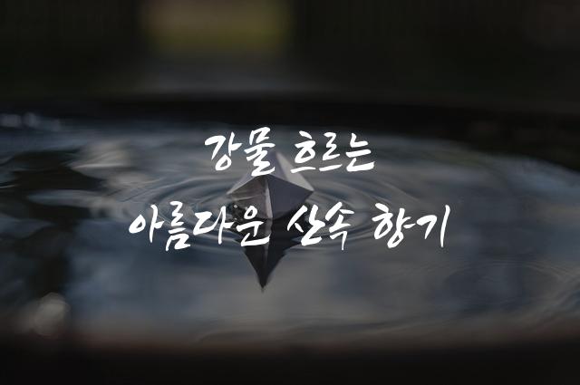 정선아리랑체