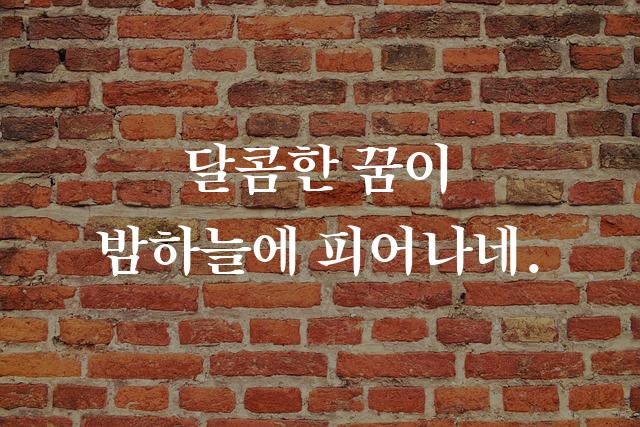J송명