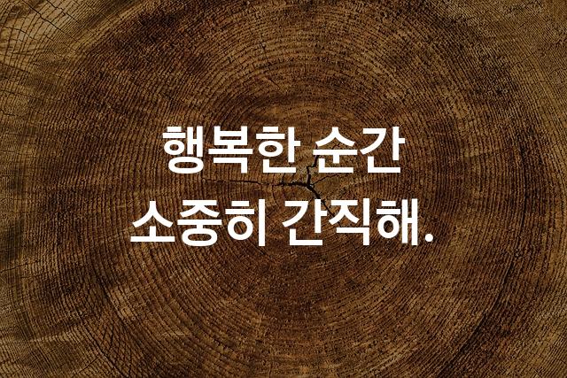 카카오 큰글씨