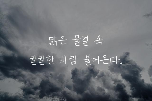칼국수