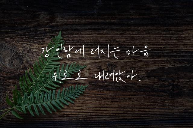 강인한 위로