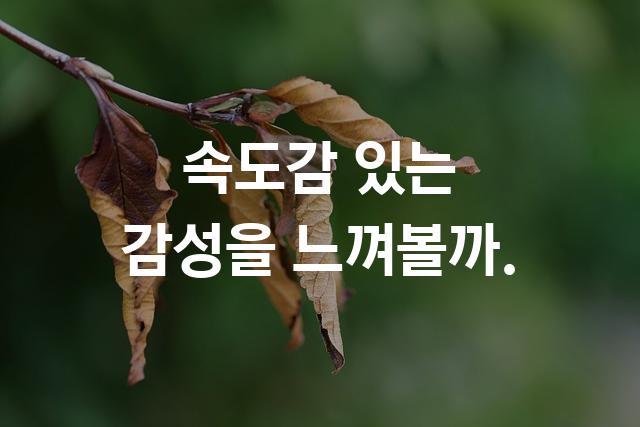 넥슨 카트 고딕
