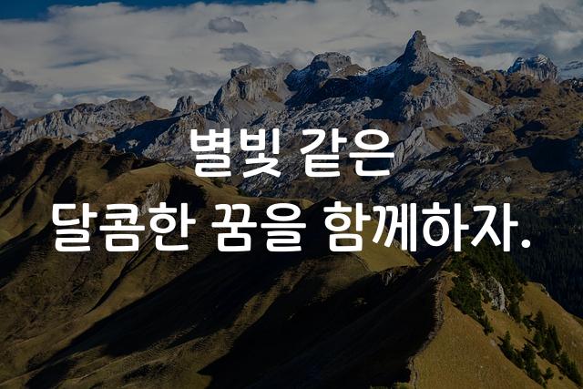 KCC한빛체