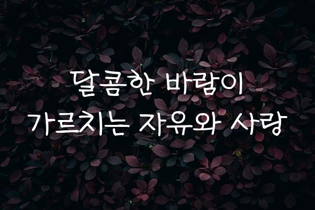 KCC정범체