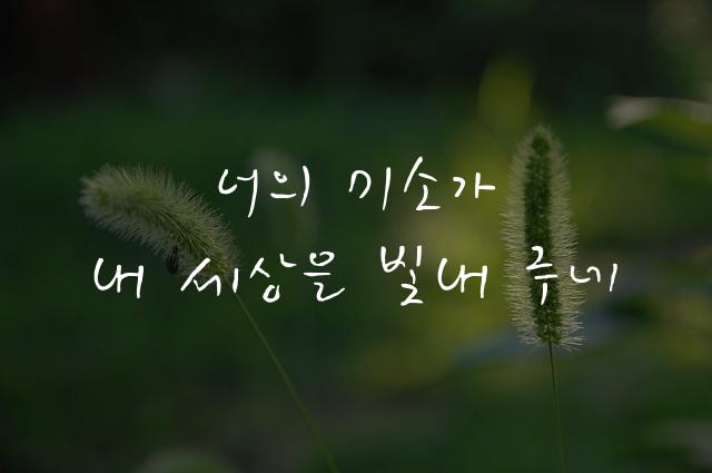 KCC김훈체
