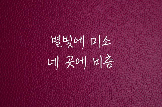 KCC손기정체