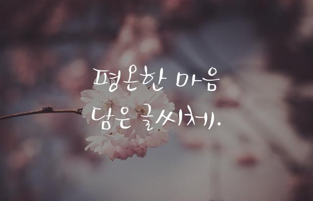 KCC혜림체