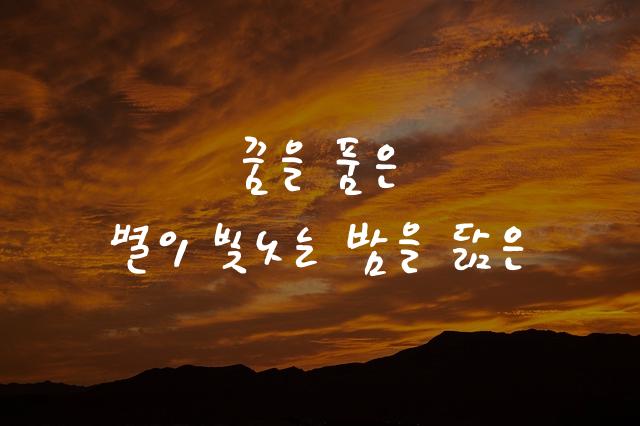 KCC박경리체