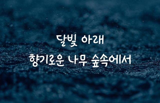 국립공원 반달이
