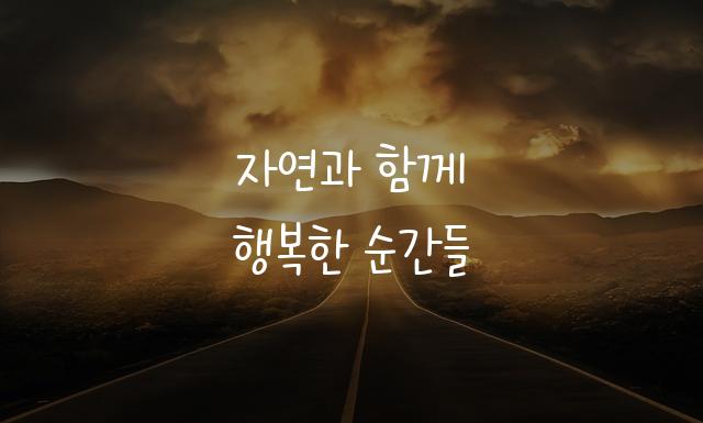 국립공원 꼬미