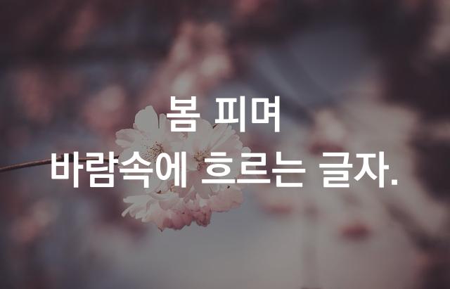 KoPub돋움