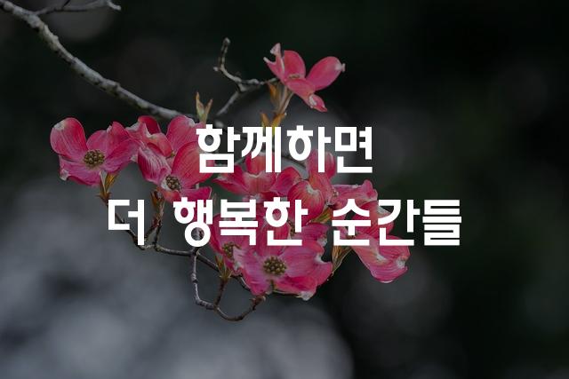 코레일체