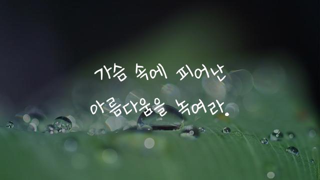 고려글꼴