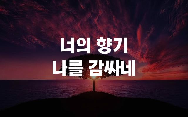 코트라 볼드체