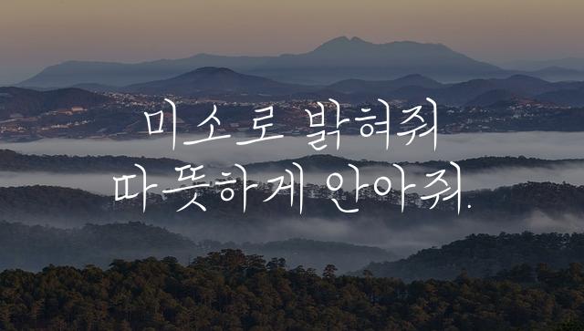 코트라 손글씨체