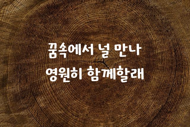 코트라 희망체
