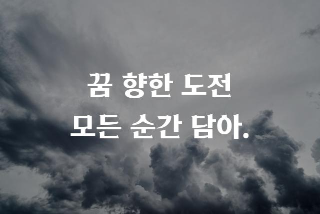 코트라 도약체